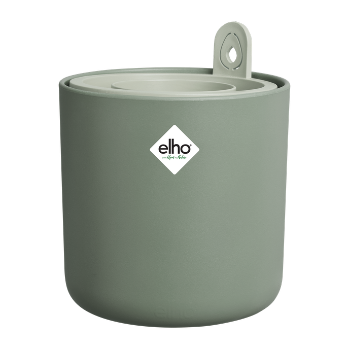 amazing avocado pot blad groen